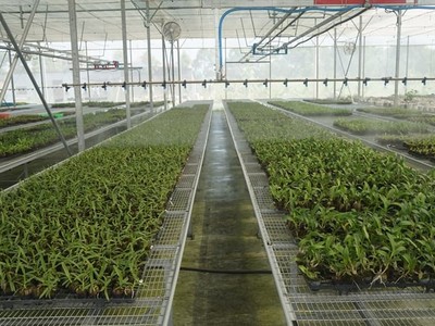 TP.HCM đặt mục tiêu đến năm 2045, kinh tế từ công nghệ sinh học đóng góp tối thiểu 10 – 15% vào GRDP của Thành phố.