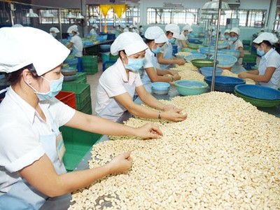 Doanh nghiệp xuất khẩu hạt tiêu, điều của Việt Nam lưu ý khi giao dịch với đối tác Tây Ban Nha.