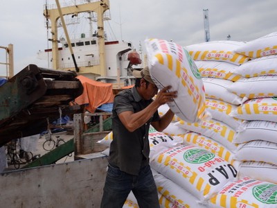 Việt Nam chi 1,41 tỷ USD nhập khẩu phân bón các loại.