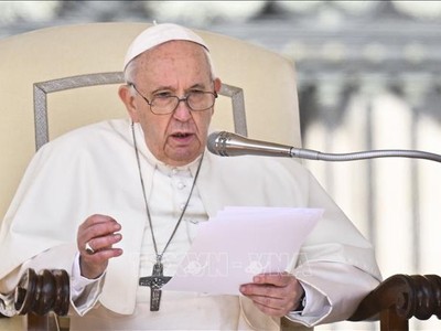 Giáo hoàng Francis phát biểu tại Vatican. Ảnh tư liệu: AFP/TTXVN