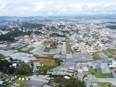 Lâm Đồng dự kiến tổ chức Hội nghị công bố Quy hoạch tỉnh trong tháng 3/2024