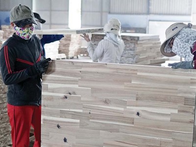 Ngành gỗ xuất khẩu đang gặp khó về đầu ra, đồng thời đối mặt với một số vấn đề liên quan sản xuất bền vững Ảnh: Đ.T
