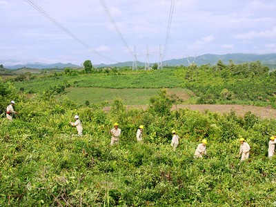 Theo Luật Lâm nghiệp hiện hành, không ít dự án đầu tư công có nhu cầu chuyển mục đích sử dụng rừng tự nhiên mất khá nhiều thời gian để được phê duyệt.