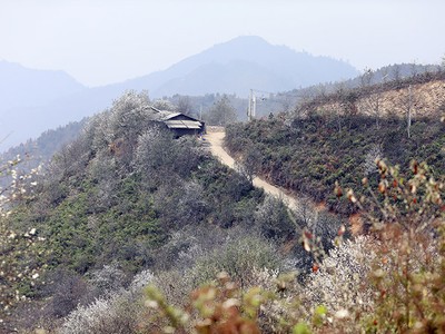 Cơ sở dữ liệu về đất đai, về đất rừng và rừng còn chưa đầy đủ, nên diễn biến trên thực tế còn nhiều khác biệt so với số liệu thống kê