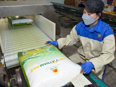 Việt Nam xuất khẩu 104.000 tấn gạo sang EU trong năm 2023.