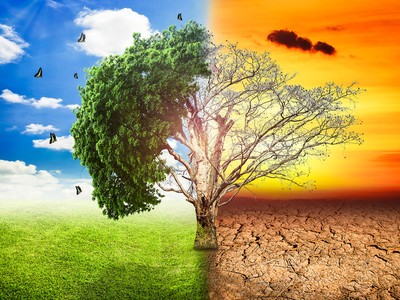 Biến đổi khí hậu khiến phát triển bền vững trở thành mệnh lệnh