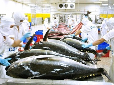 Cá ngừ Việt Nam rộng cửa ở Chile