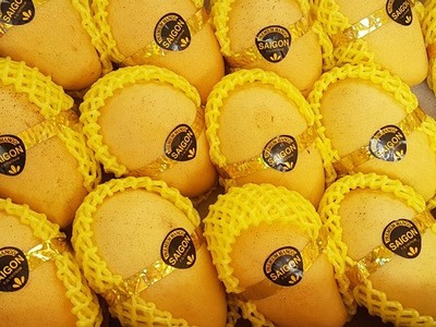 Xoài Việt Nam có nhiều dư địa tăng xuất khẩu sang Hàn Quốc, nhưng đi kèm theo đó là yêu cầu nghiêm ngặt về chất lượng.