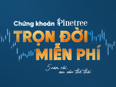 Duy trì 5 năm chính sách 0 phí giao dịch trọn đời, Pinetree “gặt hái” được gì?