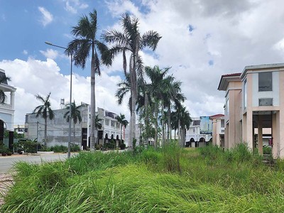 Những khu đất trống bên trong Dự án Golden Center City để cỏ dại mọc um tùm Ảnh: V.D