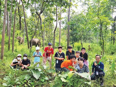 Du lịch sinh thái rừng thu hút nhiều lứa tuổi. Ảnh: Nature expedition