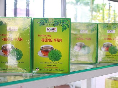 Sản phẩm Trà chùm ngây của Hợp tác xã hoa, cây cảnh và dịch vụ Hồng Vân (huyện Thường Tín, TP. Hà Nội).