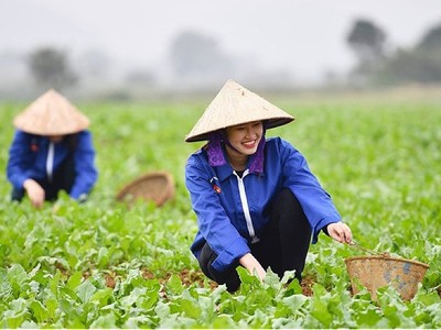 UBND TP. Hà Nội đặt mục tiêu trang bị kiến thức, kỹ năng nghề cho 13.990 người lao động trong năm 2024.