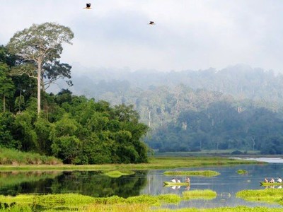 Ảnh minh hoạ. (Nguồn: Internet)