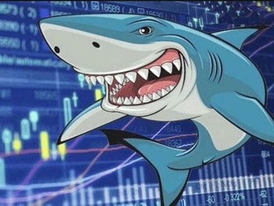 Vốn tiền tỷ, nhà đầu tư “cá mập” có yêu cầu như thế nào với công ty chứng khoán?