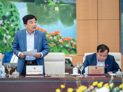 Phó chủ nhiệm Ủy ban Kinh tế Nguyễn Minh Sơn báo cáo tại phiên họp.