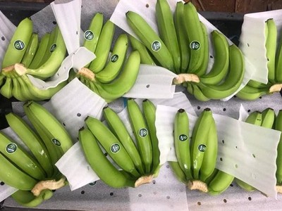 Việt Nam đã vượt qua Chile để trở thành nhà cung cấp rau quả tại thị trường tỷ dân.