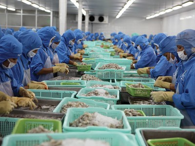 Hai sản phẩm xuất khẩu chủ lực của ngành thủy sản Việt Nam là tôm và cá tra