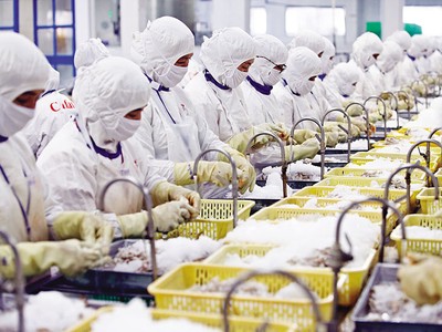 Thủy sản là một trong những mặt hàng xuất khẩu sang Mỹ đạt giá trị cao. Ảnh: Đ.T