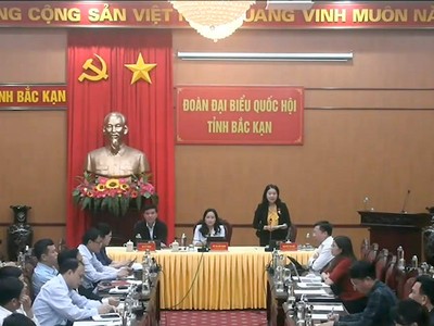 Đại biểu Nguyễn Thị Huế chất vấn từ đầu cầu Bắc Kạn (Ảnh:Quọchoi.vn).