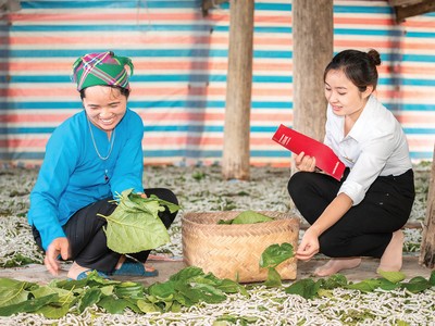 “Làm mới” bảo hiểm nông nghiệp