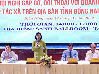 Bà Nguyễn Thị Hoàng, Phó chủ tịch UBND tỉnh Đồng Nai giải đáp thắc mắc của một số doanh nghiệp 