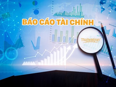 Năm 2023, Thaiholdings (THD) đạt lợi nhuận sau thuế hơn 220 tỷ đồng