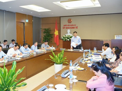 Phiên thẩm tra sơ bộ của Thường trực Ủy ban Kinh tế của Quốc hội. (Ảnh:Quochoi.vn).
