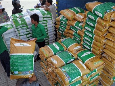 Gạo Campuchia. Ảnh: AFP/TTXVN