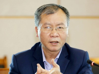 TS. Vũ Đình Ánh, Chuyên gia kinh tế