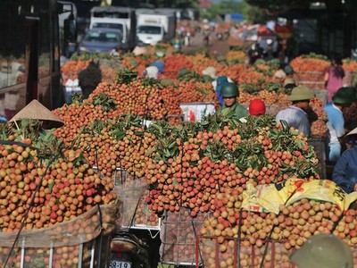 Trung Quốc là thị trường xuất khẩu chủ lực của ngành hàng rau quả, trái cây Việt Nam. Ảnh: Đức Thanh