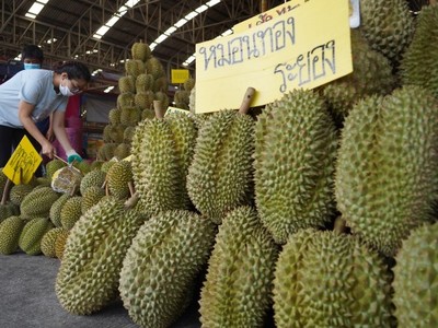 Thái Lan gấp rút hành động sau khi bị sầu riêng Việt Nam “qua mặt” 