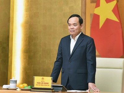 Phó thủ tướng yêu cầu định kỳ ngày 25 hằng tháng, cơ quan chủ trì soạn thảo cập nhật thông tin về tình hình, tiến độ soạn thảo văn bản quy định chi tiết.