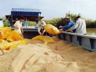 Đơn hàng xuất khẩu tiếp tục tăng, giúp Việt Nam thu gần 1,43 tỷ USD từ xuất khẩu gạo trong quý I/2024.