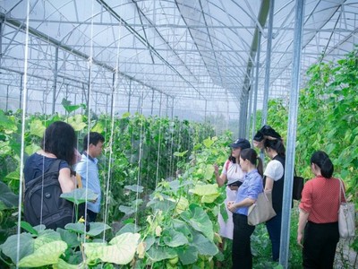 GDP toàn cầu tăng 25.000 tỷ USD nếu phụ nữ tham gia bình đẳng vào nền kinh tế