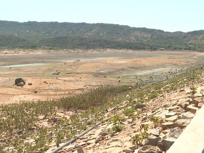 Hồ Ông Kinh, xã Nhơn Hải, huyện Ninh Hải đã về mực nước chết từ hơn một tháng qua. Nguồn: NTV