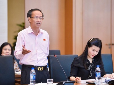 Ủy viên chuyên trách Ủy ban Kinh tế, đại biểu Đinh Ngọc Minh tham gia ý kiến. Ảnh: Nghĩa Đức