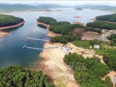 Ảnh minh hoạ. (Nguồn: Internet)