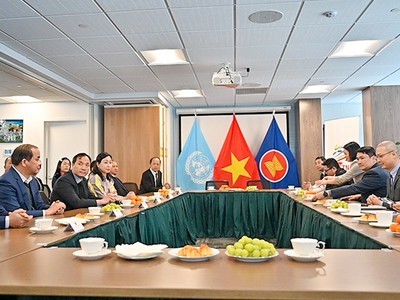 Đoàn công tác có buổi làm việc với Phái đoàn Thường trực Việt Nam tại Liên Hợp Quốc. Ảnh: T.T.H