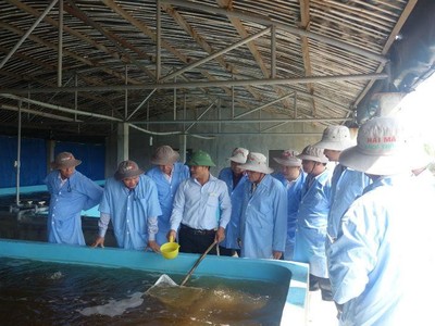 Lâm Đồng và Phú Yên sẽ nghiên cứu, mở rộng nội dung hợp tác đi vào chiều sâu về lĩnh vực nông nghiệp, du lịch, khoa học - công nghệ...