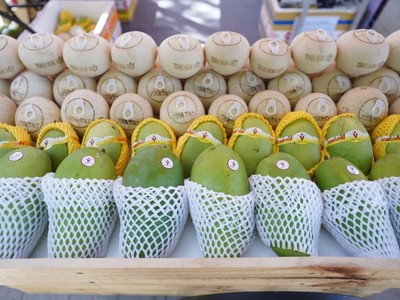 Công ty Vina T&T đang gặp khó khi giá dừa tươi liên tục tăng cao và "cháy hàng".