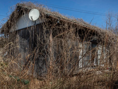 Cỏ dại và dây leo mọc xung quanh một ngôi nhà bỏ hoang ở Okuma, Nhật Bản vào ngày 9/3/2023. Ảnh: Getty Images