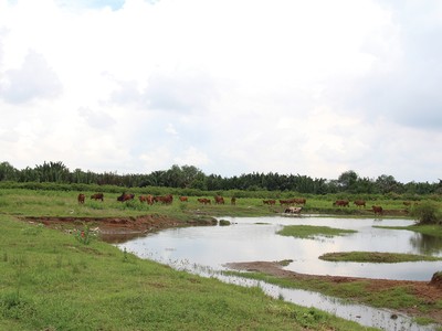 Pháp lý dự án Phước Kiển vẫn đang rất phức tạp 