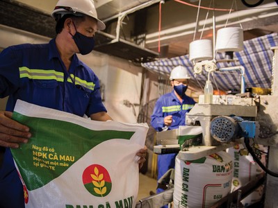 Các doanh nghiệp phân bón đang chịu tác động của việc giá dầu, giá khí neo cao