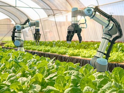 Hà Nội dành hơn 10 tỷ đồng hỗ trợ chuyển đổi số nông nghiệp