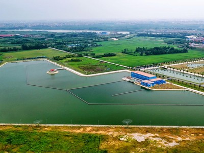 Ảnh minh hoạ. (Nguồn: Internet)