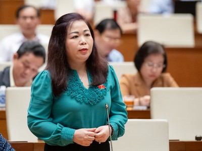 Đại biểu Vũ Thị Lưu Mai (Hà Nội) phát biểu. 