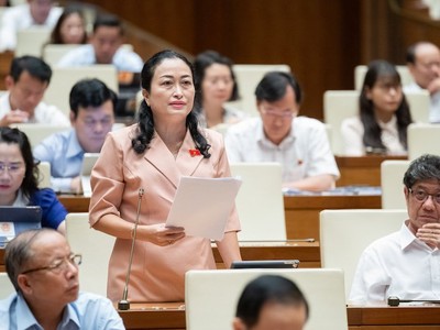 Đại biểu Trần Thị Hoa Ry (Bạc Liêu) phát biểu tại phiên thảo luận. (Ảnh:Quochoi.vn)