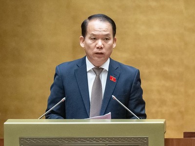 Chủ nhiệm Ủy ban Pháp luật Hoàng Thanh Tùng .