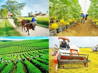 Kiện toàn Ban Chỉ đạo Trung ương các chương trình mục tiêu quốc gia